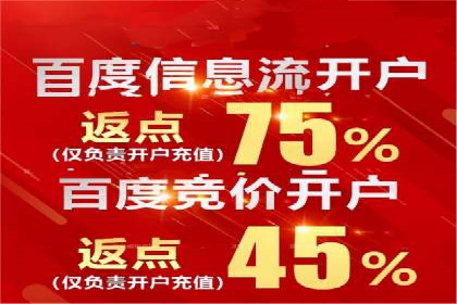 某电商平台的SEM策略与效果展示